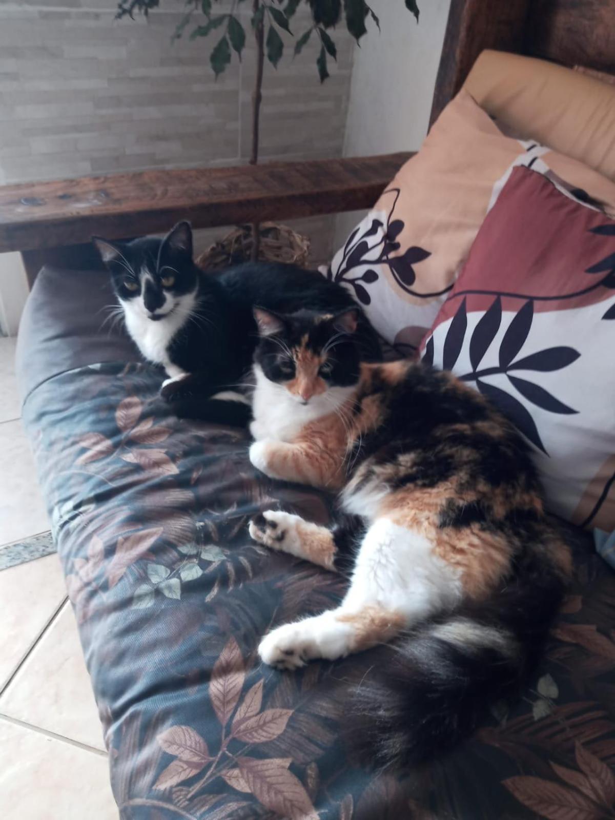Mama House Bed & Breakfast