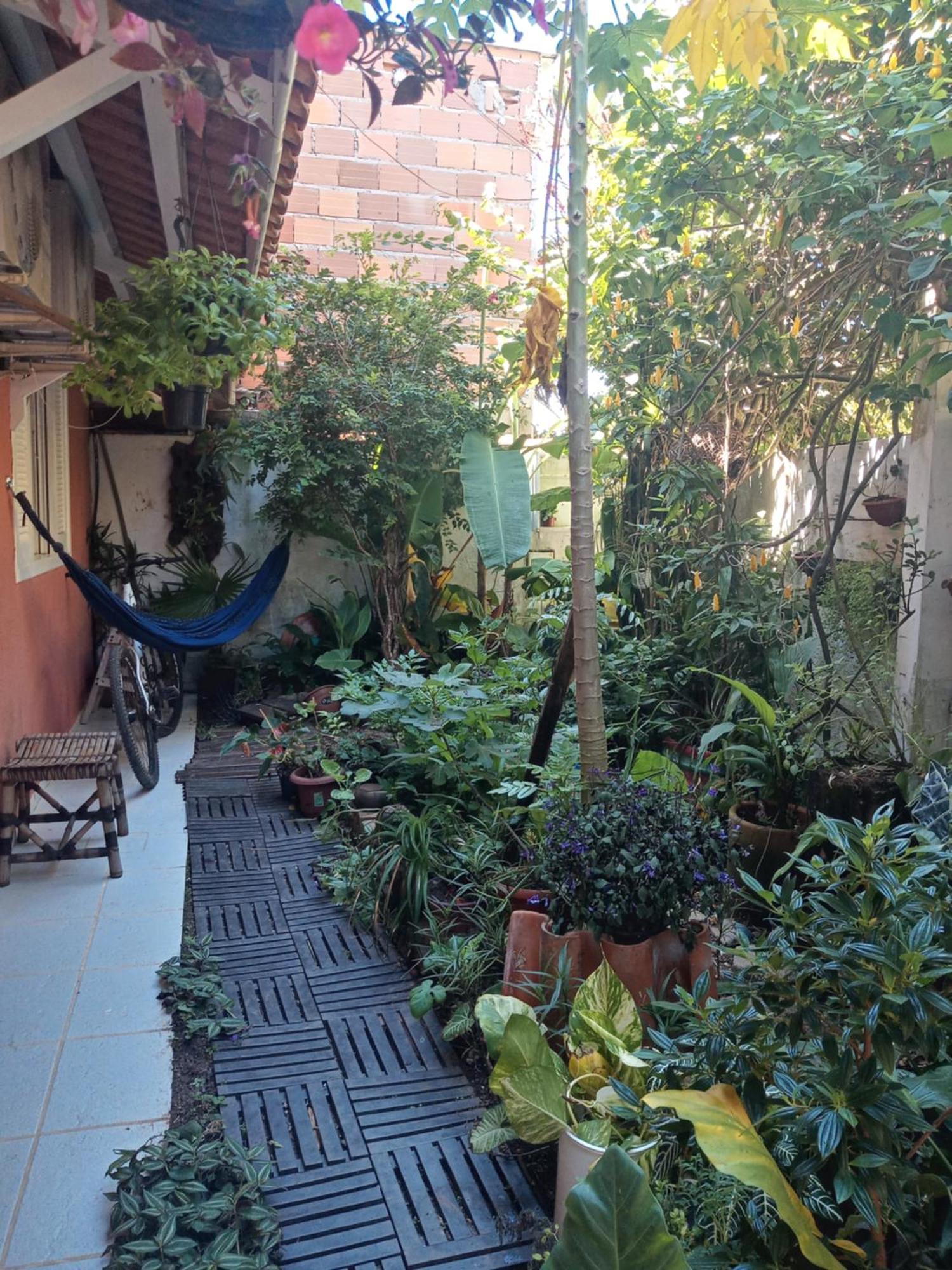 Acomodação com café da manhã  Mama House *